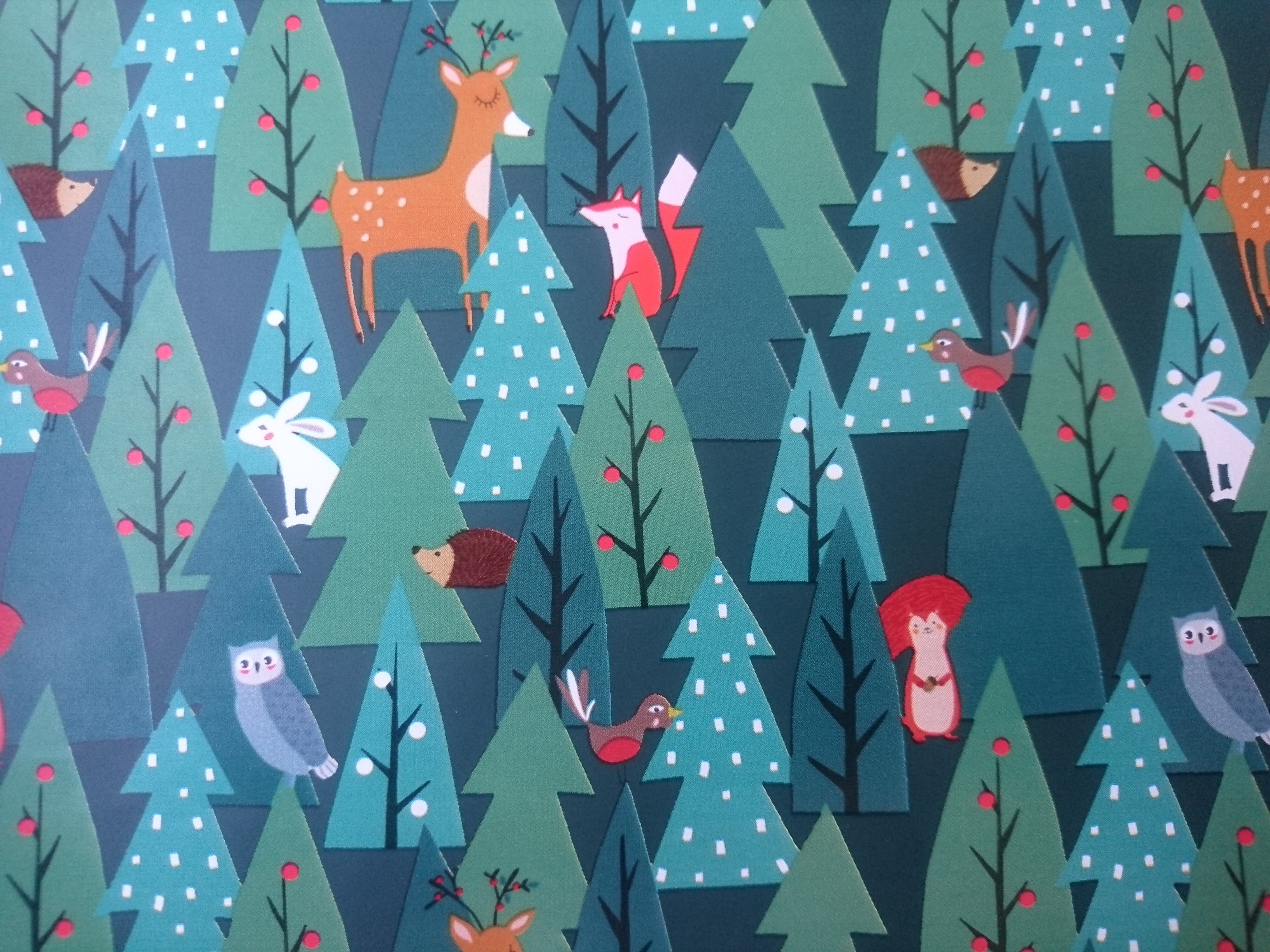 Bobst_Stewo_Retrofit