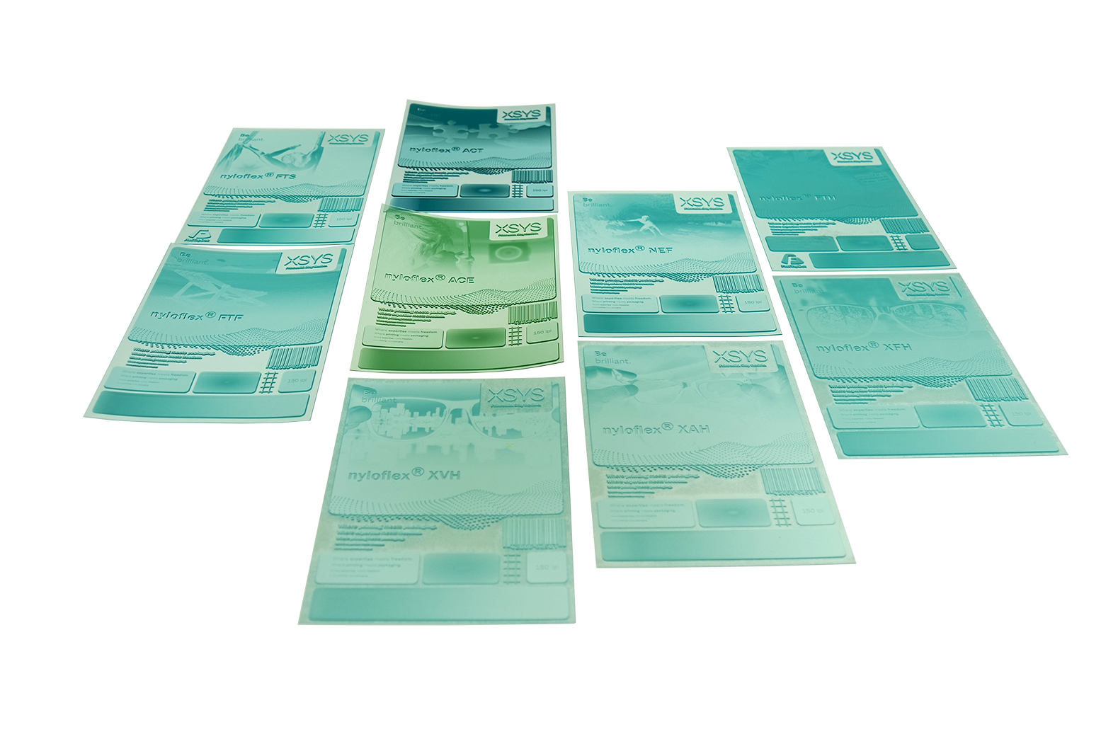 Flexo-Punkt und XSYS setzen erfolgreiche Zusammenarbeit fort